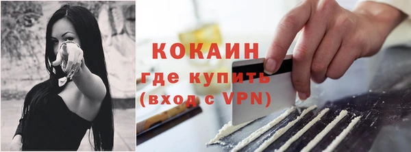 мяу мяу мука Аркадак