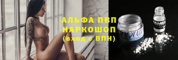 мяу мяу мука Аркадак