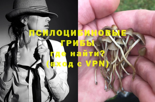 сатива Армянск