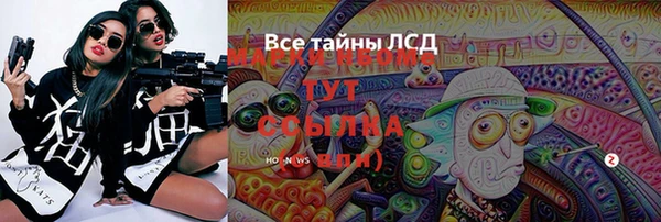 сатива Армянск