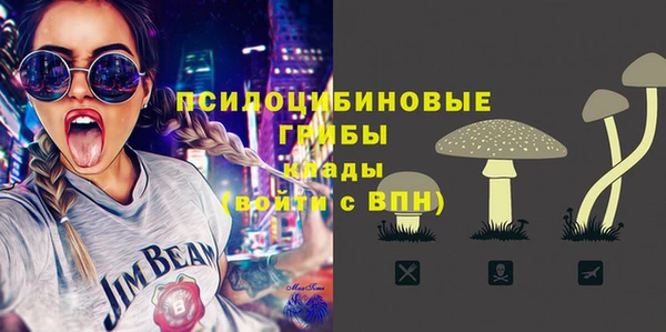 СК Арсеньев