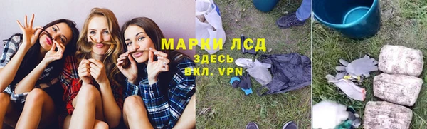 сатива Армянск