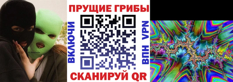 купить наркотик  Сухой Лог  Псилоцибиновые грибы ЛСД 